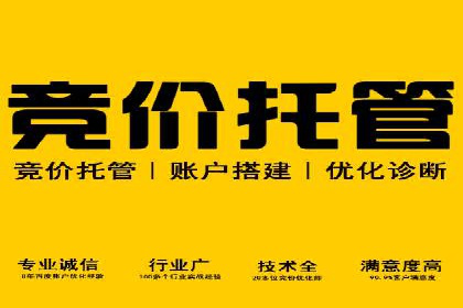 探索sem竞价托管代运营的多个成功案例